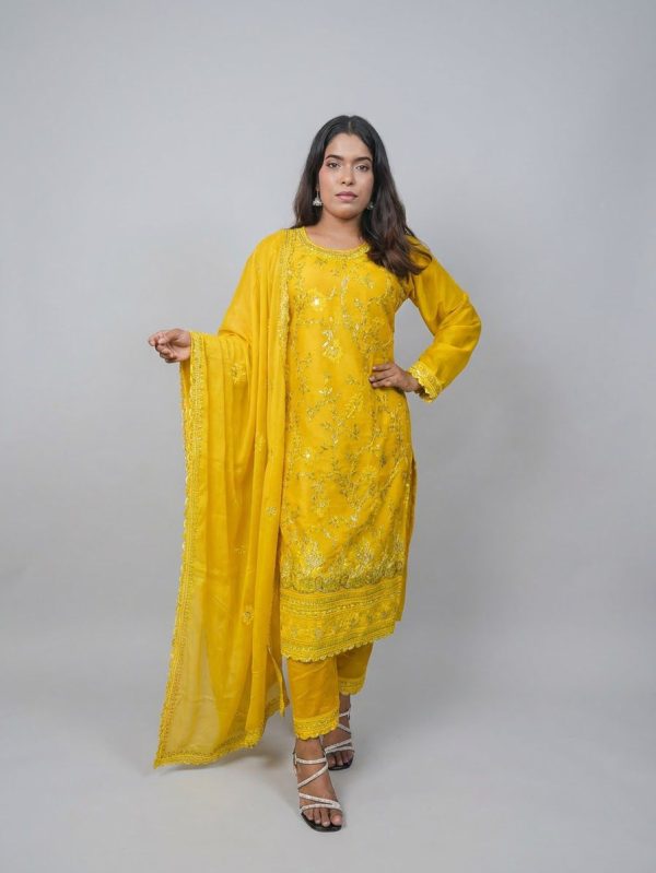 Embroidered Salwar Kameez set.